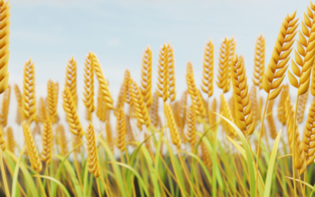 AGRAGEX ANALIZA EL CIERRE DE 2024: CRECIMIENTO DEL 4,33% EN EXPORTACIONES DEL SECTOR AGROPECUARIO