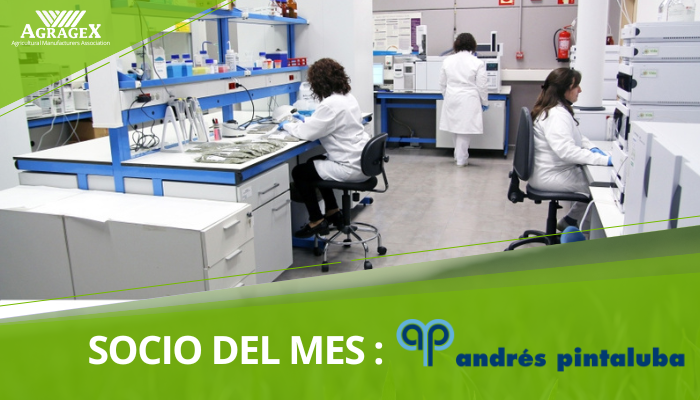 SOCIO DEL MES DE JUNIO. ANDRÉS PINTALUBA S.A